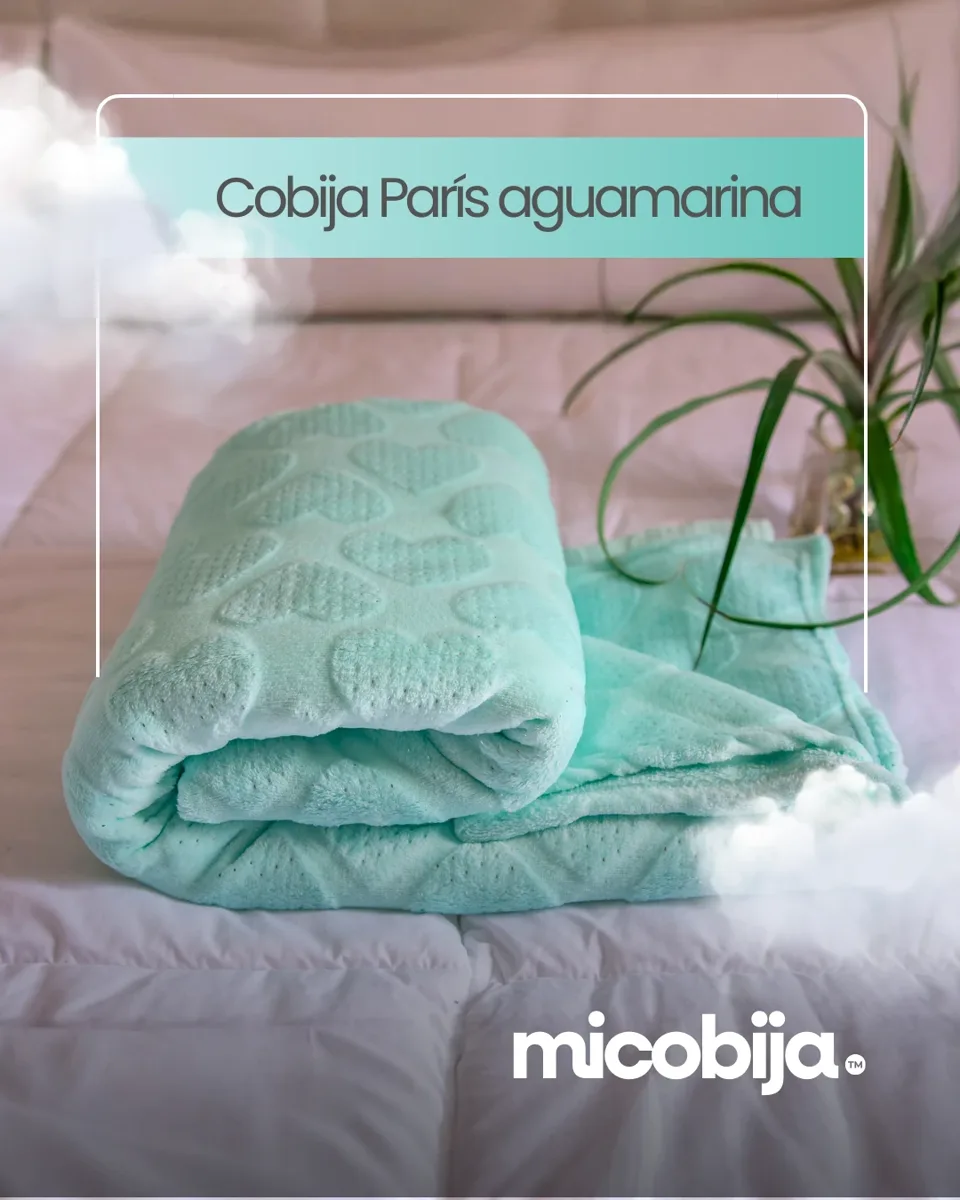 Publicación de Micobija: Cobija París aguamarina.